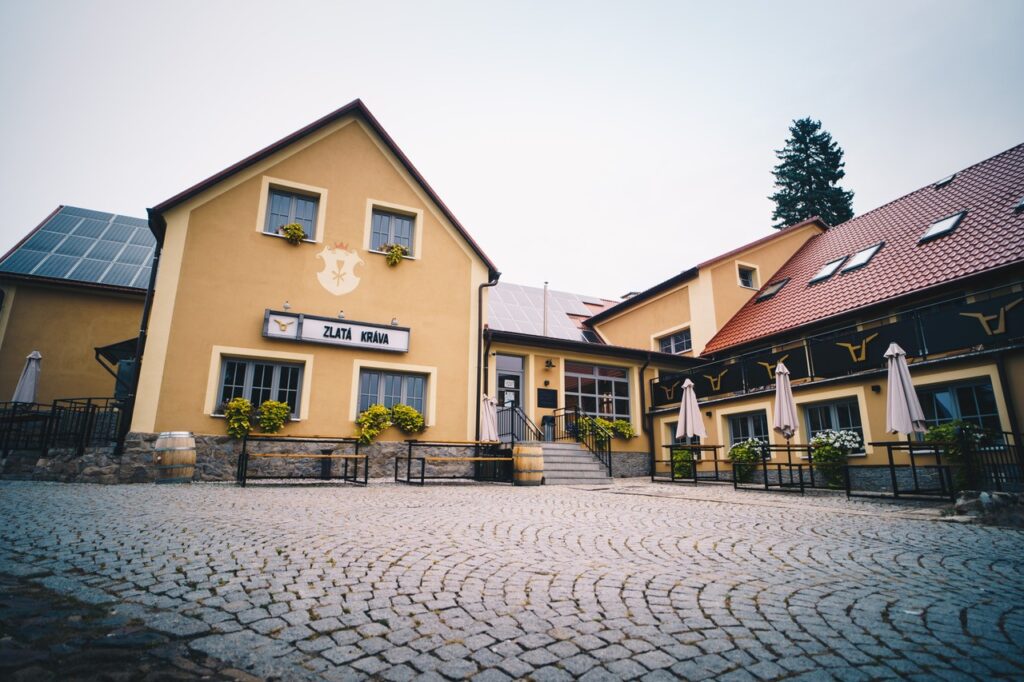 Zlatá kráva